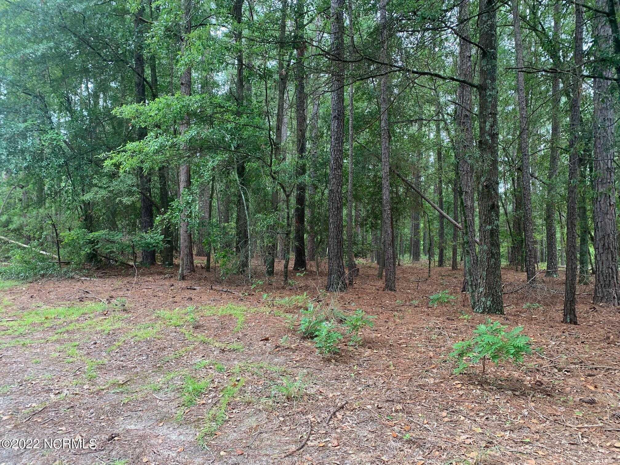 Dundee, 100347467, Laurinburg, Vacant Land / Lot,  for sale, Alicia Krout, Realty World Graham/Grubbs & Associates